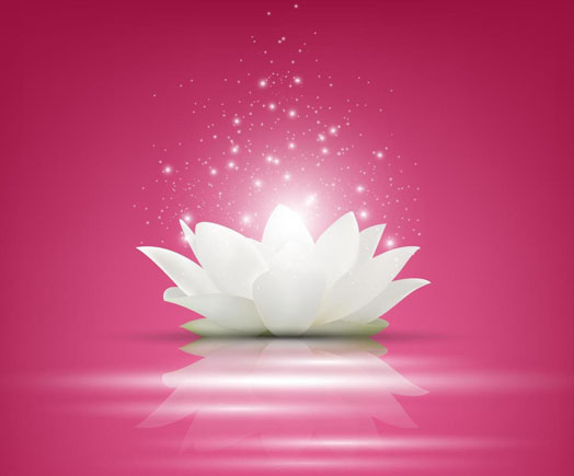 meditazione Meditazione